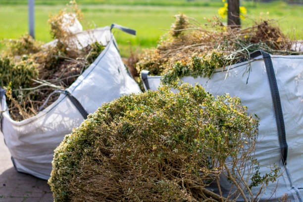 Professional Junk Removal in Los Alamos, NM